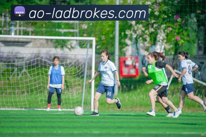 立博官网投注服务体系